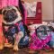 A Guide to Dressing Up Your Pet